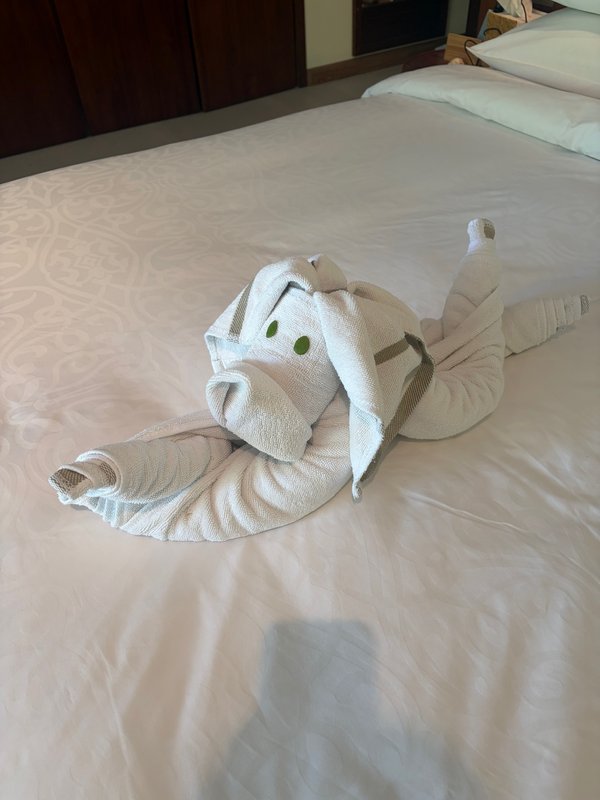 タオルアートの豚さん